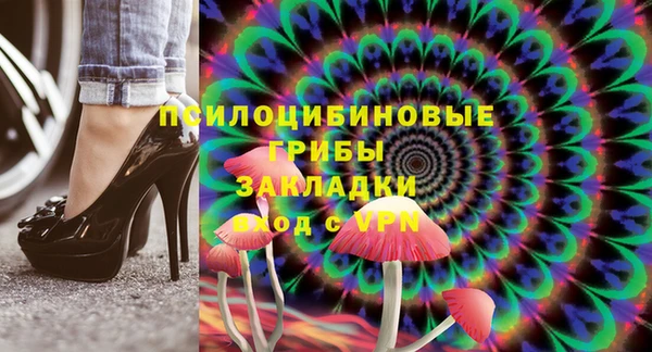 ешки Алексин