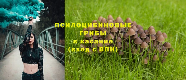 винт Билибино